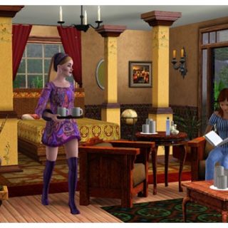 The Sims 3